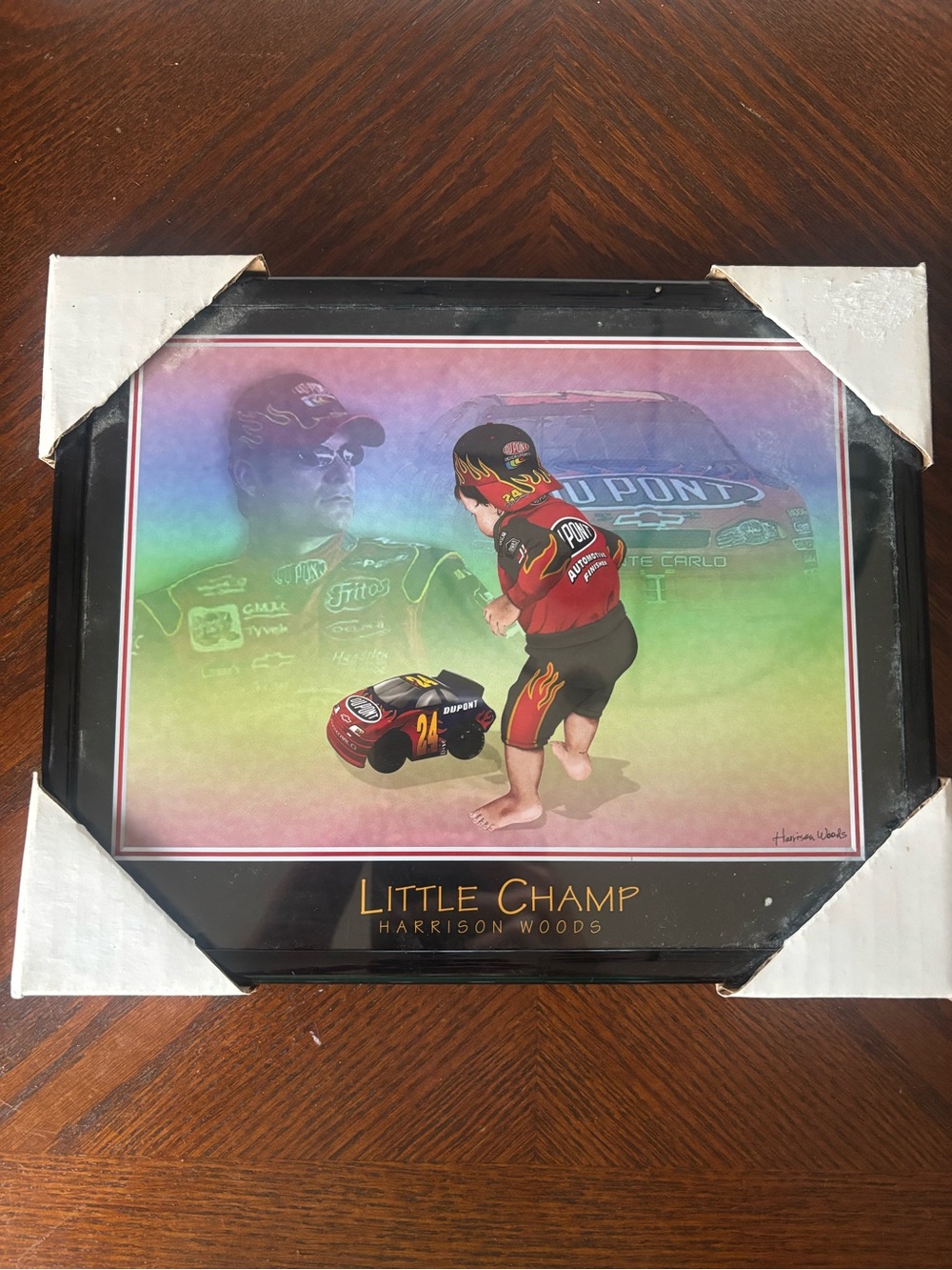 Jeff Gordon print